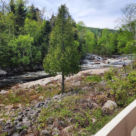 Motel Et Chalets Bo-Fleuve Evangeline Saint-Siméon Kültér fotó