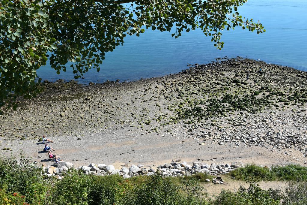Motel Et Chalets Bo-Fleuve Evangeline Saint-Siméon Kültér fotó