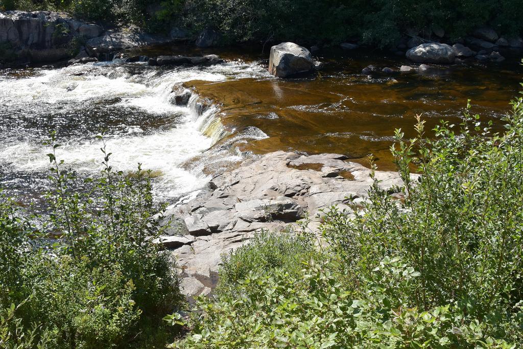 Motel Et Chalets Bo-Fleuve Evangeline Saint-Siméon Kültér fotó