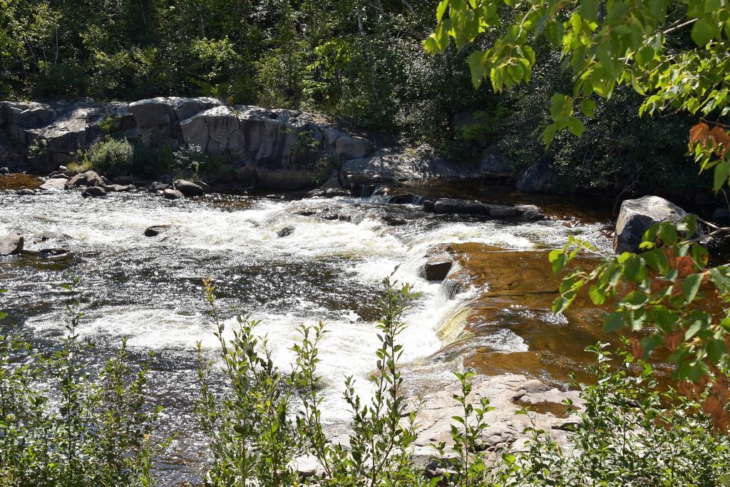 Motel Et Chalets Bo-Fleuve Evangeline Saint-Siméon Kültér fotó