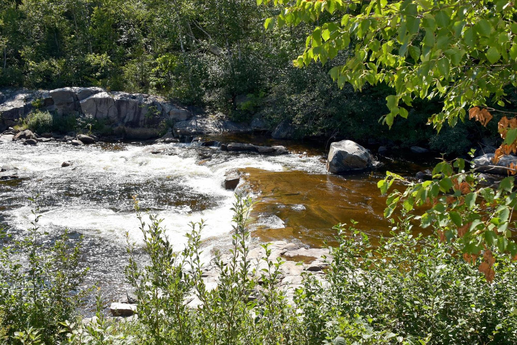 Motel Et Chalets Bo-Fleuve Evangeline Saint-Siméon Szoba fotó