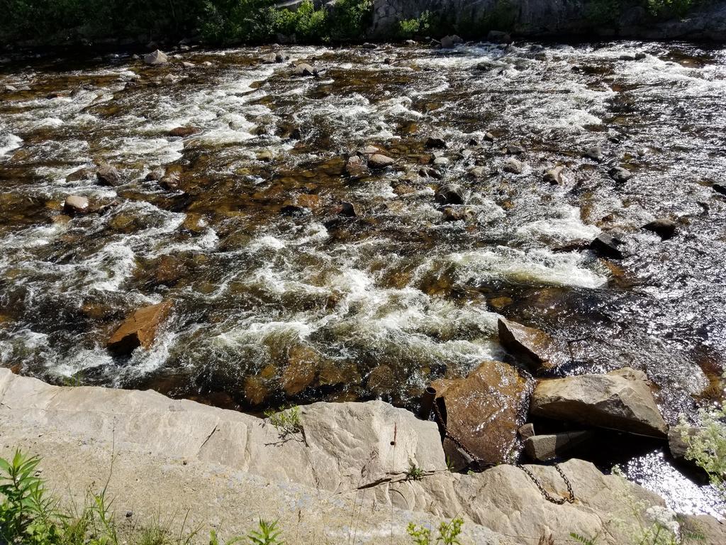 Motel Et Chalets Bo-Fleuve Evangeline Saint-Siméon Kültér fotó