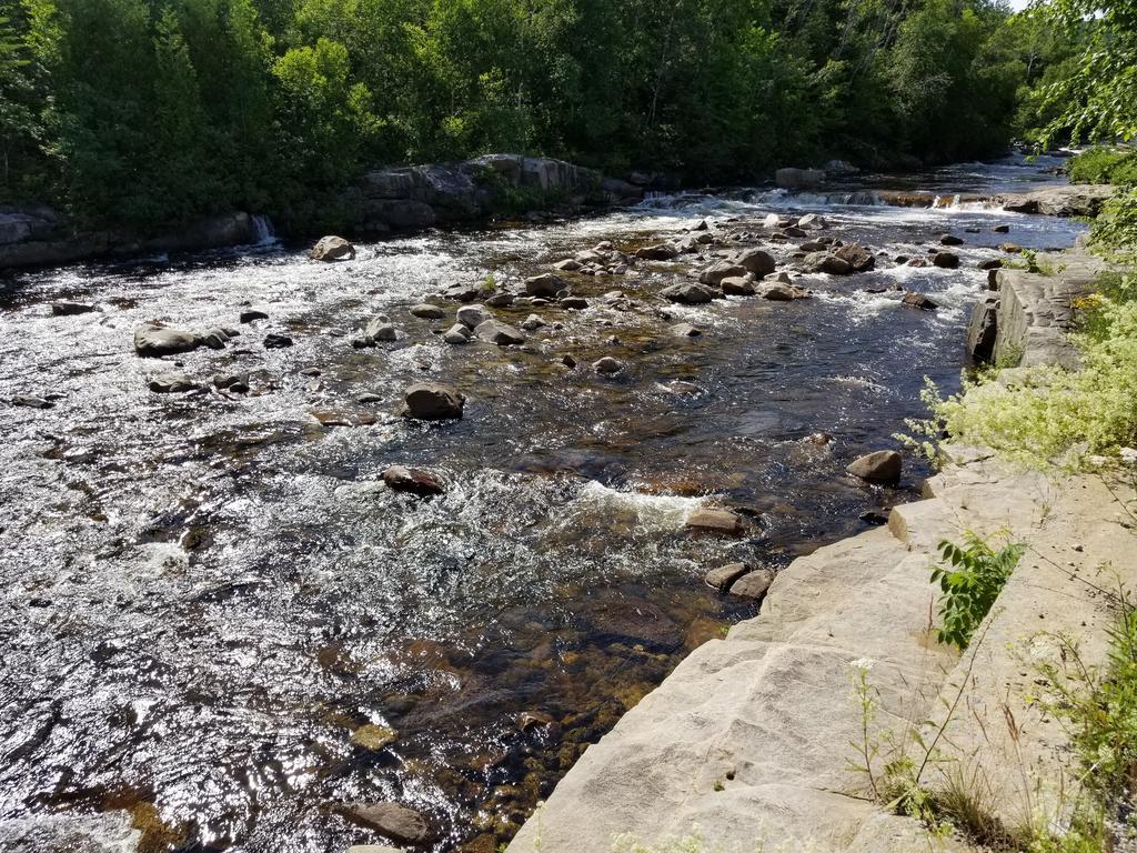 Motel Et Chalets Bo-Fleuve Evangeline Saint-Siméon Kültér fotó